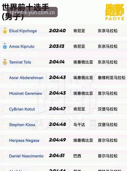 kaiyun体育平台新手实用指南：开云体育官方登录入口手机版使用技巧与必备知识